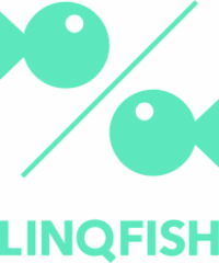 LinQfish K+W GmbH