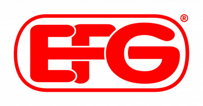 Logo Elektrotechnik Frank Günther GmbH & CO. KG Ausbildung als Elektroniker für Energie- und Gebäudetechnik (2021)
